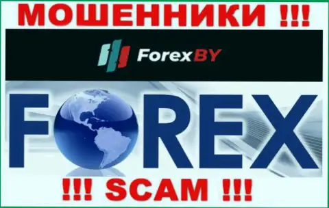 Будьте очень внимательны, вид деятельности Forex BY, ФОРЕКС - это обман !!!