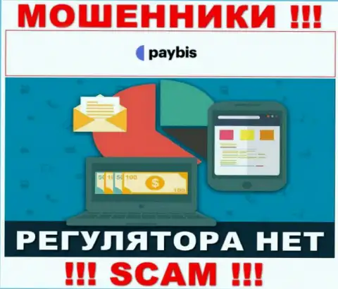 У PayBis на веб-сервисе не найдено информации о регуляторе и лицензии компании, значит их вовсе нет