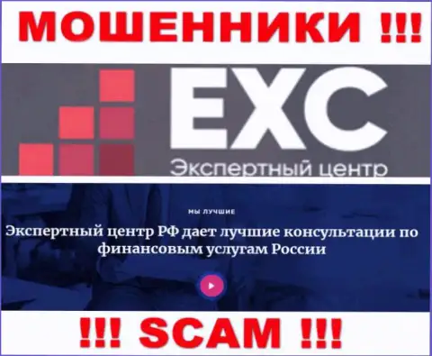 Экспертный Центр России заняты обворовыванием наивных клиентов, а Консалтинг только прикрытие