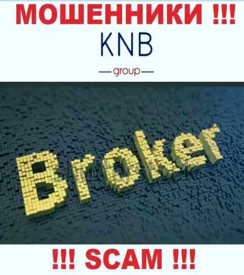 Направление деятельности мошеннической организации KNB-Group Net - это Брокер