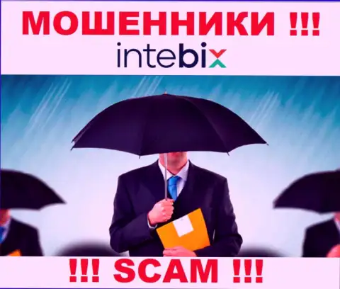 Руководство Intebix усердно скрыто от internet-сообщества