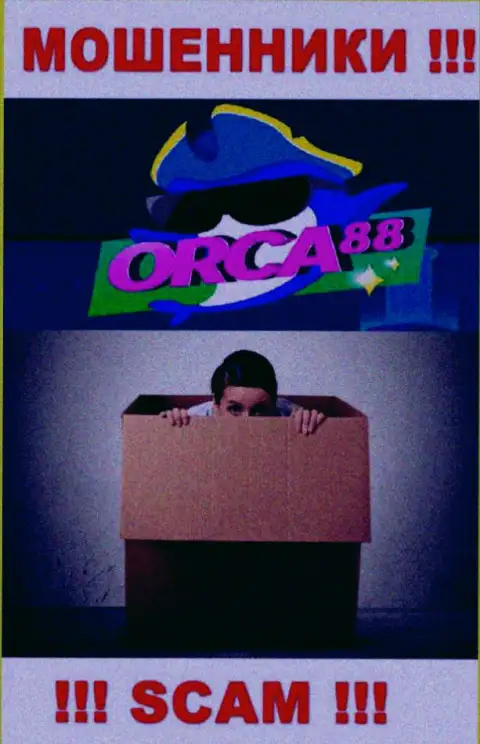 Начальство Orca88 в тени, у них на официальном web-сервисе о себе информации нет