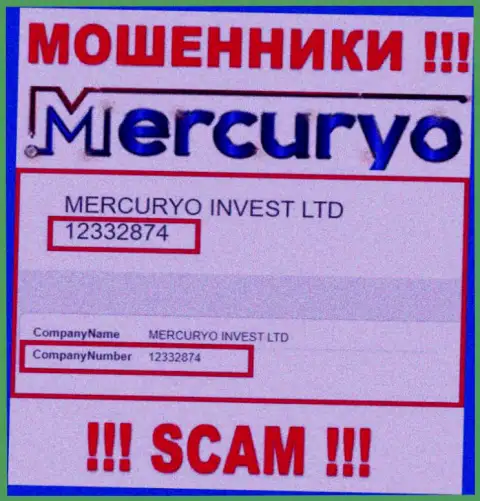 Номер регистрации противоправно действующей компании Меркурио Ко Ком: 12332874