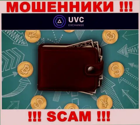Криптовалютный кошелек - именно в данном направлении предоставляют услуги интернет-воры UVC Exchange