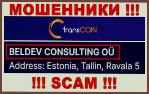TransCoin - юр. лицо интернет мошенников организация BELDEV CONSULTING OÜ