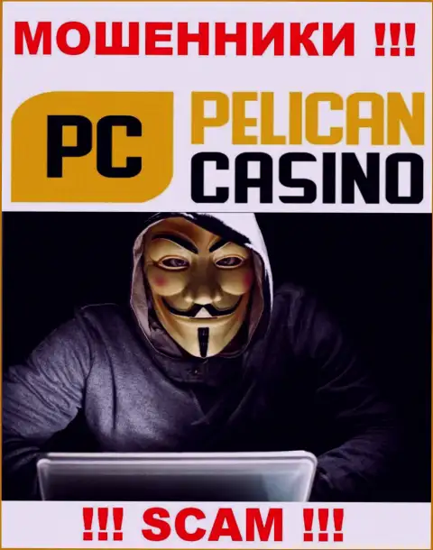Лица управляющие организацией Pelican Casino предпочитают о себе не афишировать