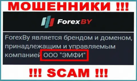 На официальном портале Forex BY написано, что этой компанией владеет ООО ЭМФИ
