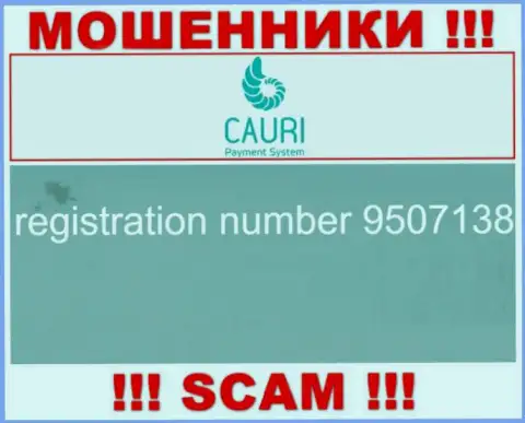 Номер регистрации, принадлежащий жульнической организации Каури Ком - 9507138