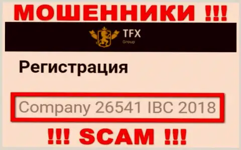 Регистрационный номер, который принадлежит противоправно действующей конторе TFX Group: 26541 IBC 2018