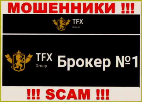 Не рекомендуем доверять финансовые вложения TFX Group, ведь их направление деятельности, Forex, обман