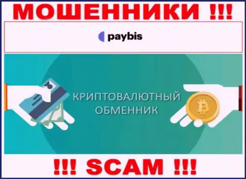 Крипто обменник - направление деятельности незаконно действующей конторы PayBis