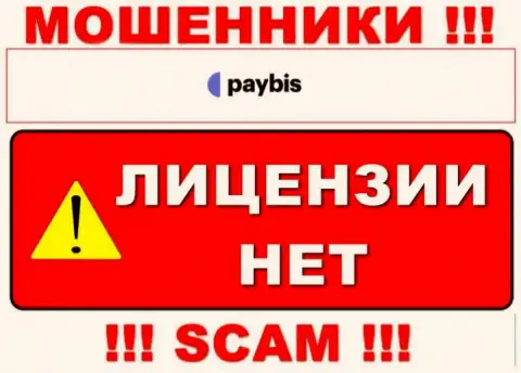 Информации о номере лицензии PayBis на их официальном сайте не приведено - это ЛОХОТРОН !!!
