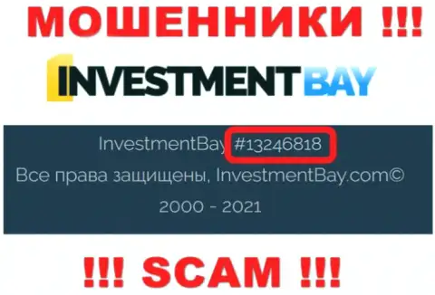 Регистрационный номер, под которым зарегистрирована организация InvestmentBay: 13246818
