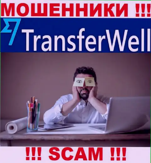 Деятельность TransferWell ПРОТИВОЗАКОННА, ни регулятора, ни разрешения на осуществление деятельности нет