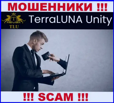 НЕ НАДО связываться с компанией TerraLuna Unity, указанные internet мошенники регулярно крадут средства валютных трейдеров