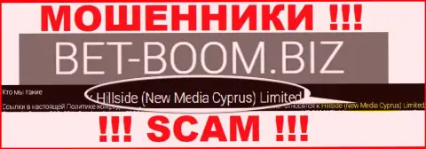 Юридическим лицом, управляющим интернет мошенниками Bet-Boom Biz, является Hillside (New Media Cyprus) Limited