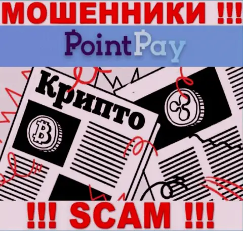 Point Pay LLC обманывают доверчивых людей, действуя в области - Крипто трейдинг