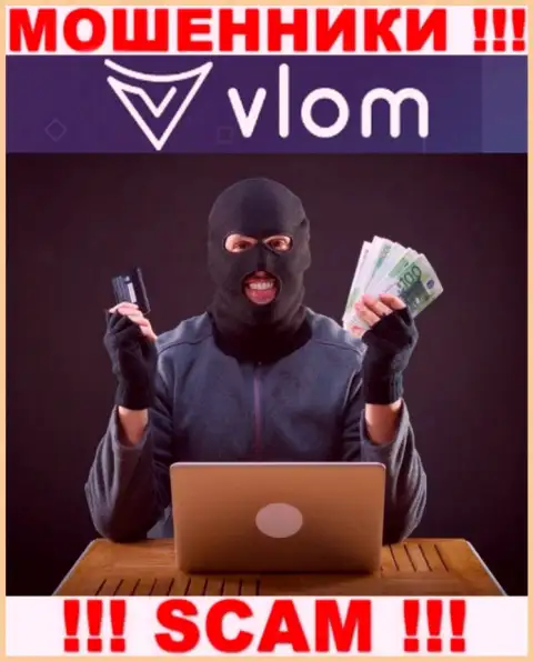 В компании Vlom вешают лапшу на уши доверчивым клиентам и затягивают в свой мошеннический проект