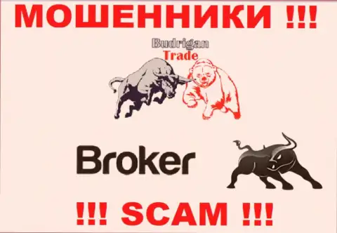 Не верьте, что сфера деятельности Budrigan Ltd - Broker законна - это кидалово