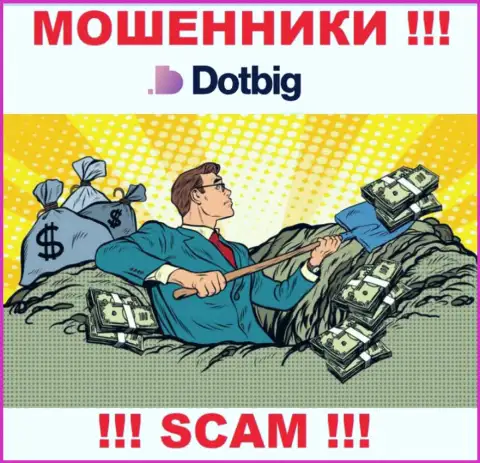 DotBig Com работает только на сбор финансовых средств, именно поэтому не ведитесь на дополнительные вклады