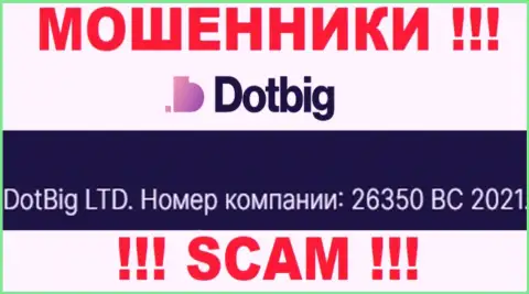 Регистрационный номер мошенников DotBig LTD, расположенный ими у них на интернет-ресурсе: 26350 BC 2021