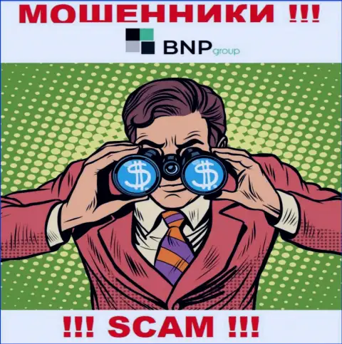 Вас пытаются развести на денежные средства, BNPLtd Net в поисках новых наивных людей