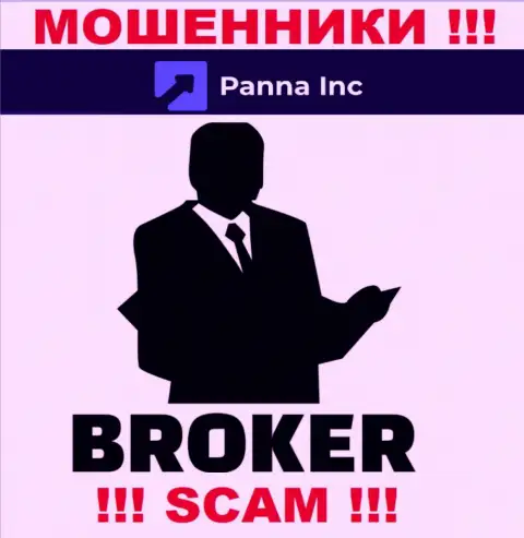 Брокер - именно в указанном направлении предоставляют свои услуги internet-ворюги Panna Inc