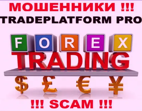 Не стоит верить, что деятельность Trade Platform Pro в направлении FOREX легальна