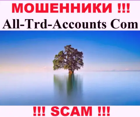 All-Trd-Accounts Com сливают финансовые активы и выходят сухими из воды - они спрятали сведения о юрисдикции