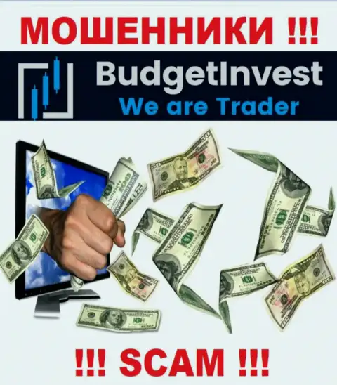 Все обещания менеджеров из BudgetInvest Org лишь ничего не значащие слова - это МОШЕННИКИ !