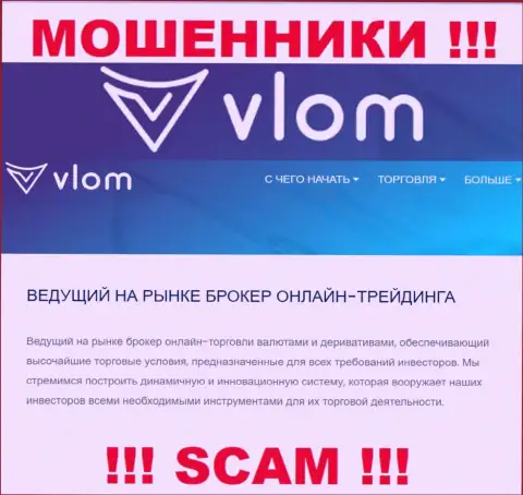 Тип деятельности незаконно действующей компании Vlom это Broker