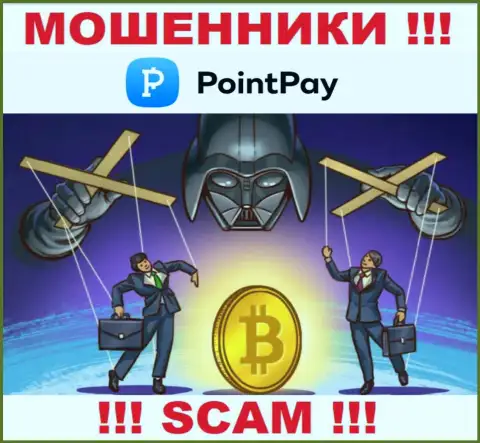Point Pay - это internet обманщики, которые подталкивают людей совместно работать, в результате оставляют без средств