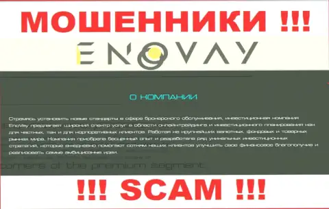 Так как деятельность internet лохотронщиков EnoVay Com - это сплошной обман, лучше будет работы с ними избегать