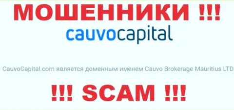 Аферисты Кауво Капитал принадлежат юридическому лицу - Cauvo Brokerage Mauritius LTD