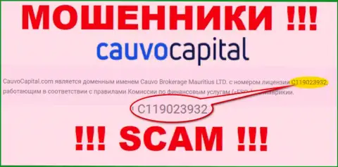 Мошенники CauvoCapital Com успешно обворовывают своих клиентов, хоть и размещают свою лицензию на информационном портале