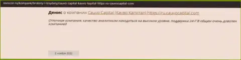 Компания CauvoCapital Com описана в комментарии на информационном сервисе revocon ru