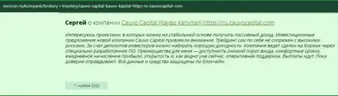 Высказывание биржевого игрока о дилинговом центре CauvoCapital Com на веб-ресурсе Ревокон Ру