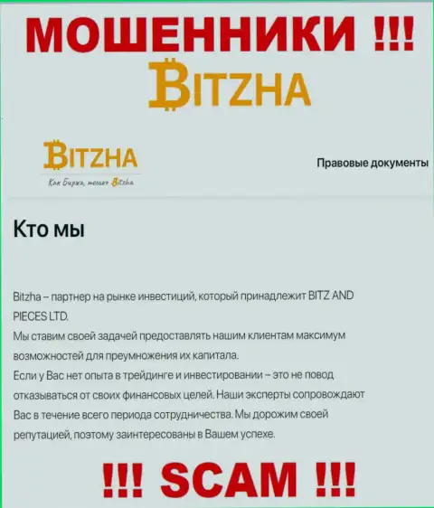 Bitzha24 Com - это наглые internet жулики, тип деятельности которых - Инвестиции