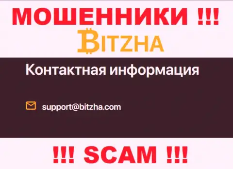 Е-майл мошенников Битза, информация с официального веб-сайта