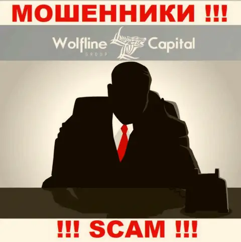 Не тратьте свое время на поиски информации о прямом руководстве Wolfline Capital, абсолютно все сведения скрыты