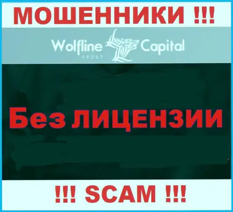 Нереально найти информацию об лицензии на осуществление деятельности интернет-мошенников Wolfline Capital - ее просто-напросто нет !