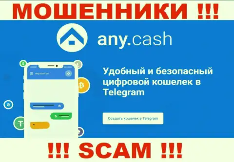 Any Cash это интернет мошенники, их работа - Виртуальный кошелек, нацелена на кражу вложенных денег доверчивых людей