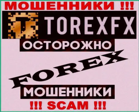Область деятельности Торекс ФХ: Forex - отличный заработок для интернет-мошенников